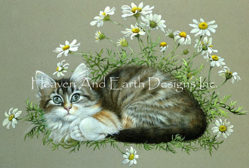 Agneatha Amongst Chamomile Flowers Max Colors - Click Image to Close