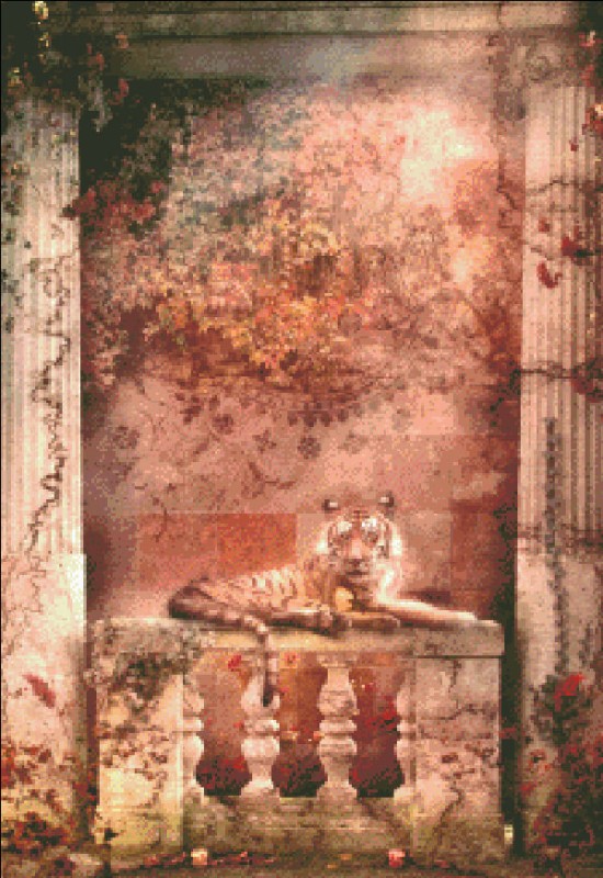 Mini Tigra De La Rosa - Click Image to Close