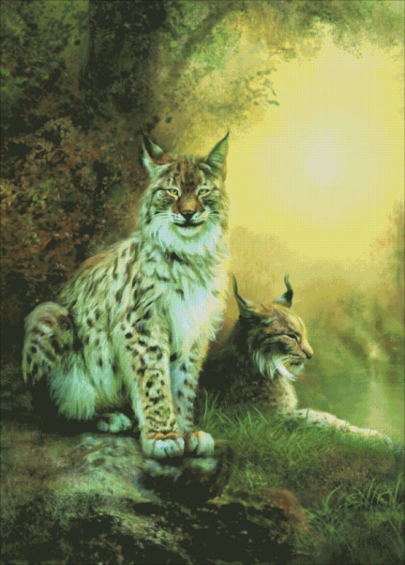Two Lynxes - Click Image to Close