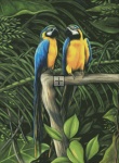 Macaws TM