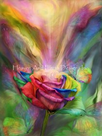 Healing Rose Max Colors