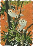 Barn Owl Max Colors
