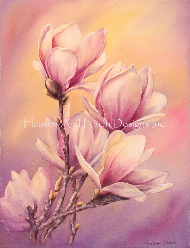 Magnolias Max Colors - Click Image to Close
