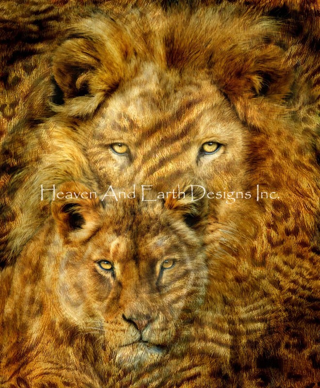 Mini Moods Of Africa Lions - Click Image to Close