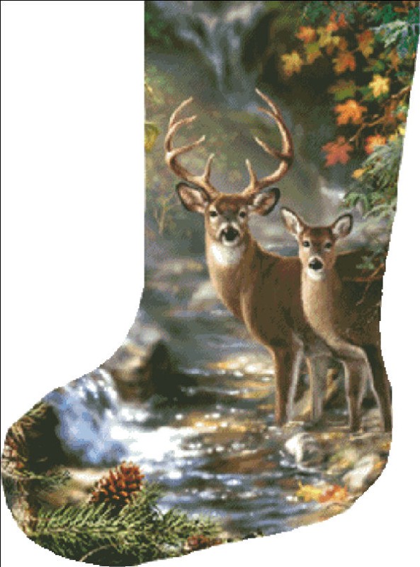 Stocking Deer Creek - Click Image to Close