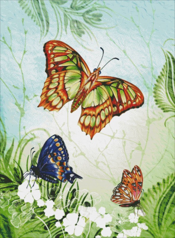 Butterflies Abound - Click Image to Close