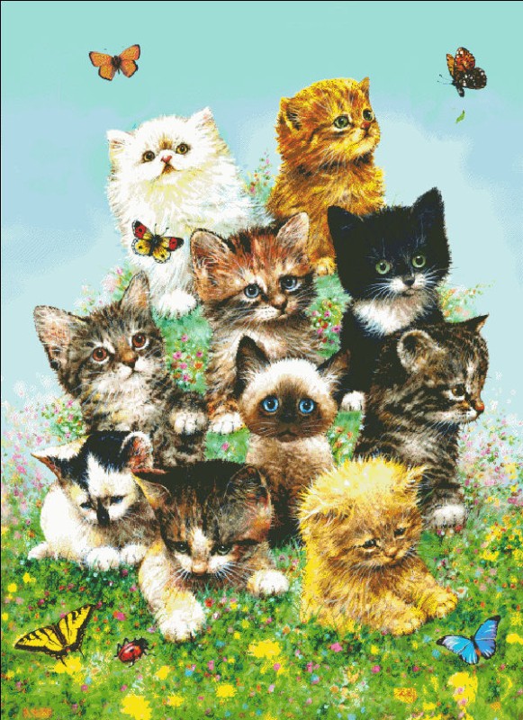 11 Kittens - Click Image to Close
