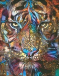 Tiger Glass Max Colors