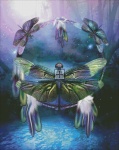 Spirit Of The Dragonfly