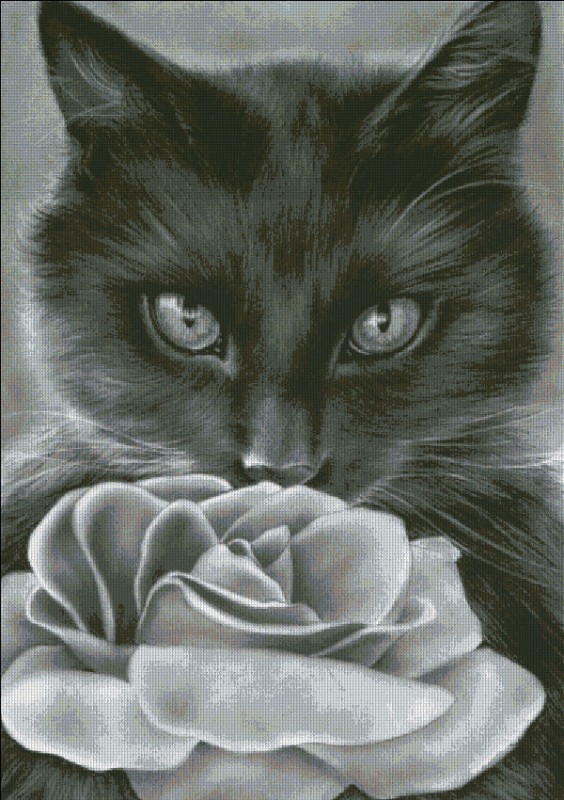 Kitten and The Rose - Click Image to Close