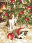 Christmas Tree Kittens