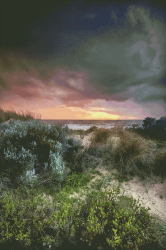 Coastal Sunsets Dalyellup Beach - Click Image to Close