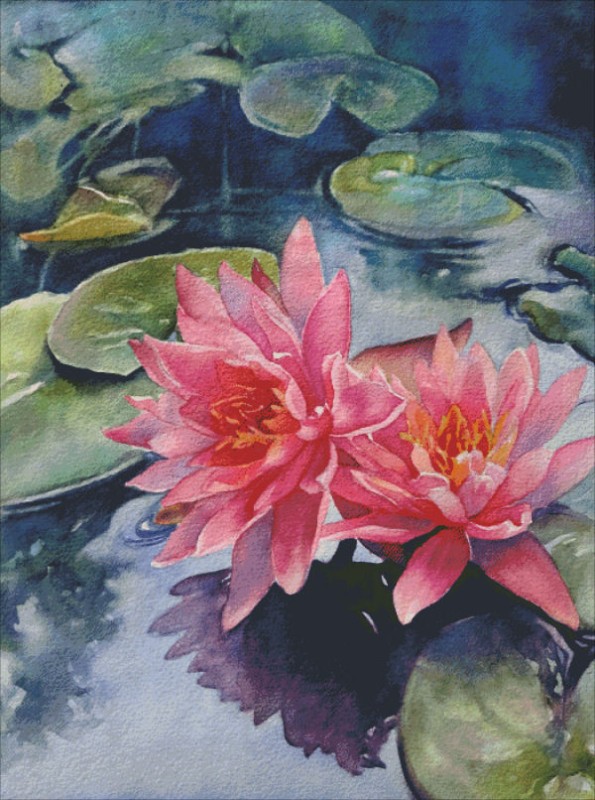 Lotus Reflections - Click Image to Close