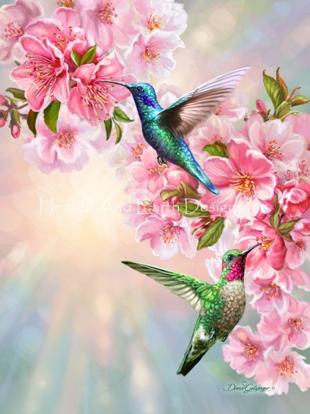 Hummingbirds in Spring