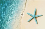 Starfish On The Sand Beach