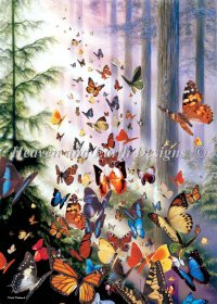 Mini Butterfly Woods Max Colors