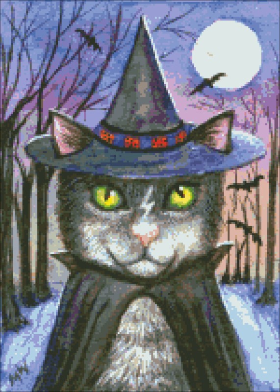 Diamond Painting Canvas - QS Witch Cat - Click Image to Close
