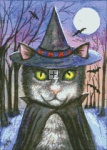 Diamond Painting Canvas - QS Witch Cat
