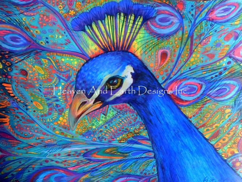 Peacock Plumage - Click Image to Close