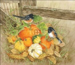 Pumpkins And Towhees Request A Size 20