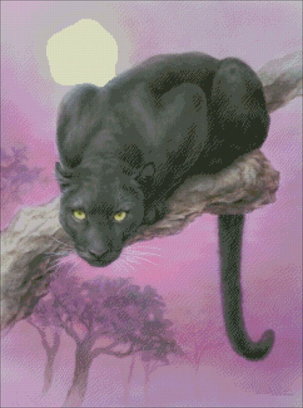 Mini Black Panther - Click Image to Close