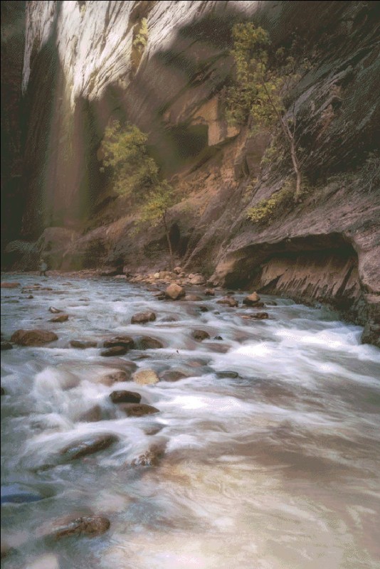 Zion Sunglow - Click Image to Close
