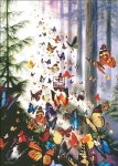 Butterfly Woods Color Expansion