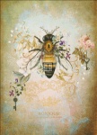 Mini Honey Bee Portrait