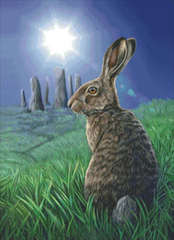 Diamond Painting Canvas - Mini Moon Hare LP - Click Image to Close