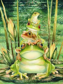 Top Frog Max Colors
