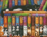 Cat Double Shelf Max Colors