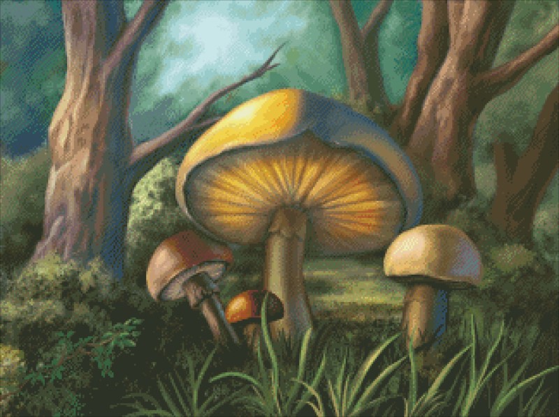 Diamond Painting Canvas - Glowing Mushrooms [SOLODP03] - $36.00 USD   Heaven And Earth Designs, cross stitch, cross stitch patterns, counted  cross stitch, christmas stockings, counted cross stitch chart, counted  cross stitch