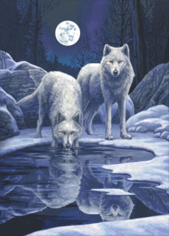 Diamond Painting Canvas - Mini Hunters Moon LP - Click Image to Close