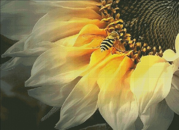 Supersized Sunflower Bee Max Colors
