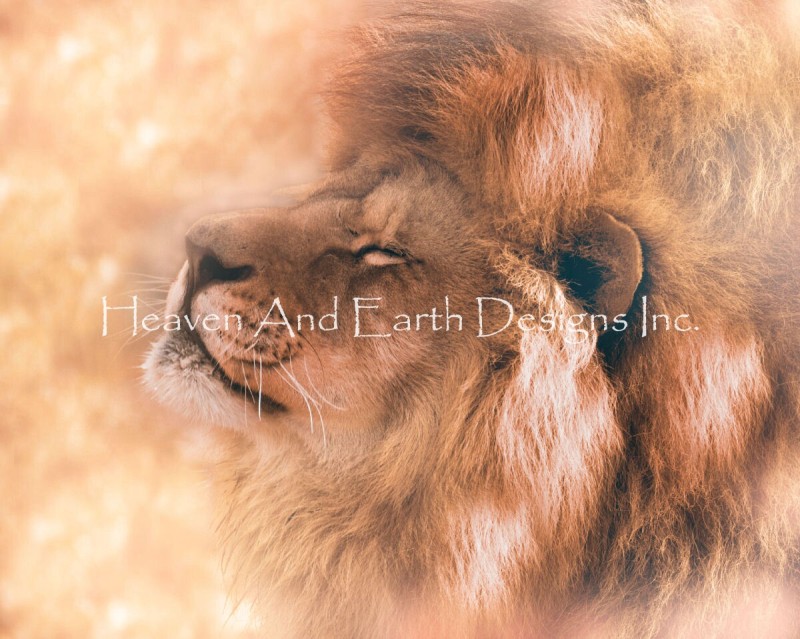 Beautiful Lion In Dream - Click Image to Close