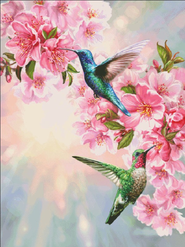 Hummingbirds in Spring - Click Image to Close