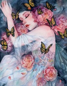 Mini Sleeps with Butterflies MM