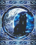 Mini Midnight Moon Celtic Black Cat