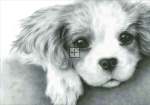 Diamond Painting Canvas - Mini Little Puppy