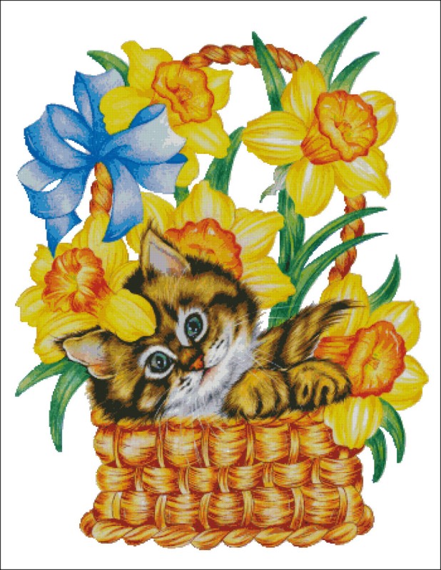 Daffodil Kitty - Click Image to Close