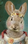 Clearance - QS Sweet Bunny