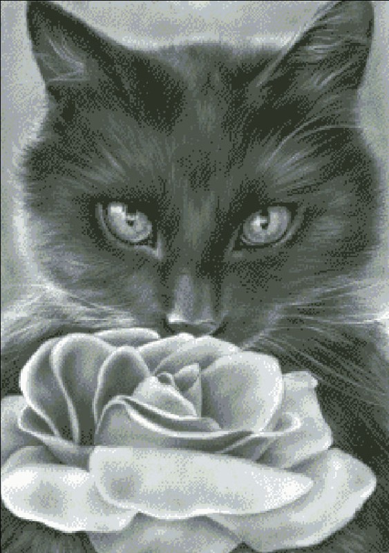 Mini Kitten and The Rose - Click Image to Close