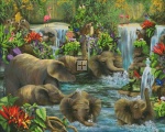 Baby Elephant Pool