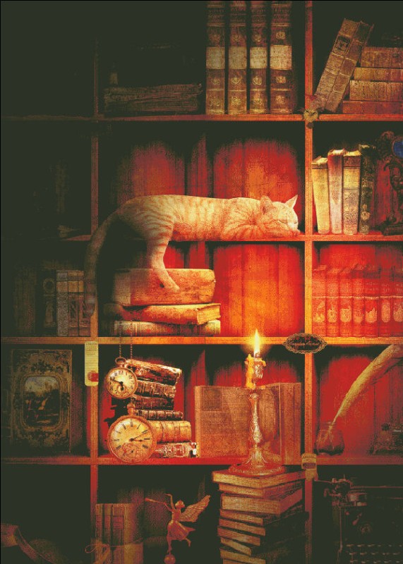 Cat Bookshelf JDG - Click Image to Close