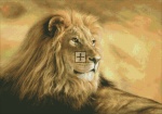 Panthera Leo Lion