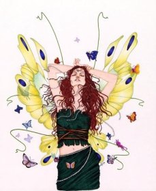 The Butterfly Dance