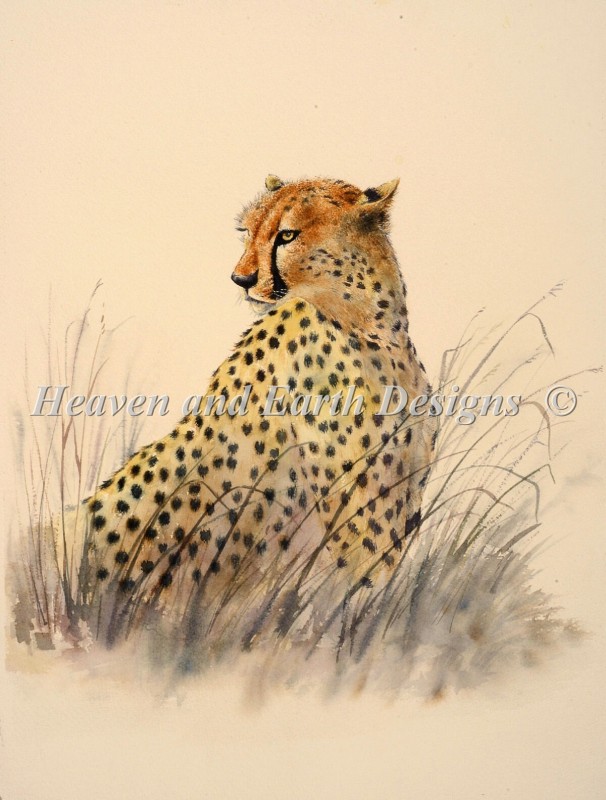 Cheetah Material Pack - Click Image to Close