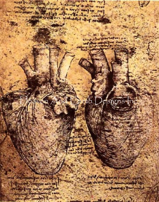 Heart And Vessels Request A Size - Click Image to Close