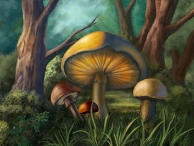 Diamond Painting Canvas - Glowing Mushrooms