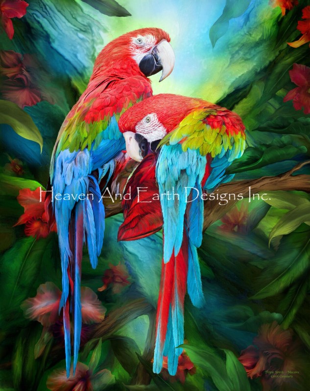 Tropic Spirits Macaws Request A Size - Click Image to Close